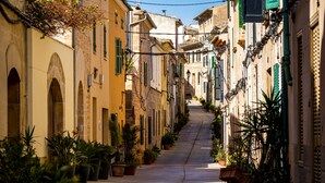 A narrow street lined with historic buildings, potted plants, and a clear sky.