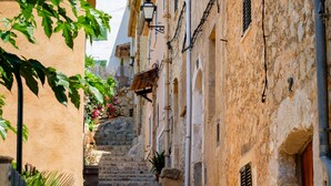 A narrow street with stone steps leading to a building with a wooden door and a window with shutters.