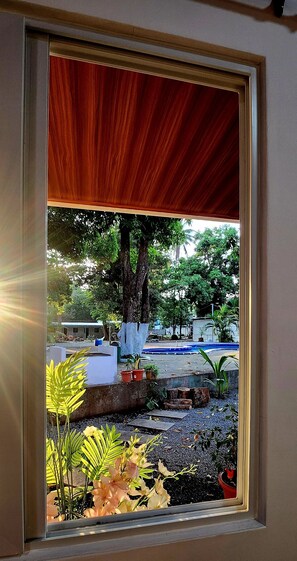 A window with a view of a garden area, including a tree, potted plants, and a swimming pool. - Aloha Sunzal (Tamanique)
