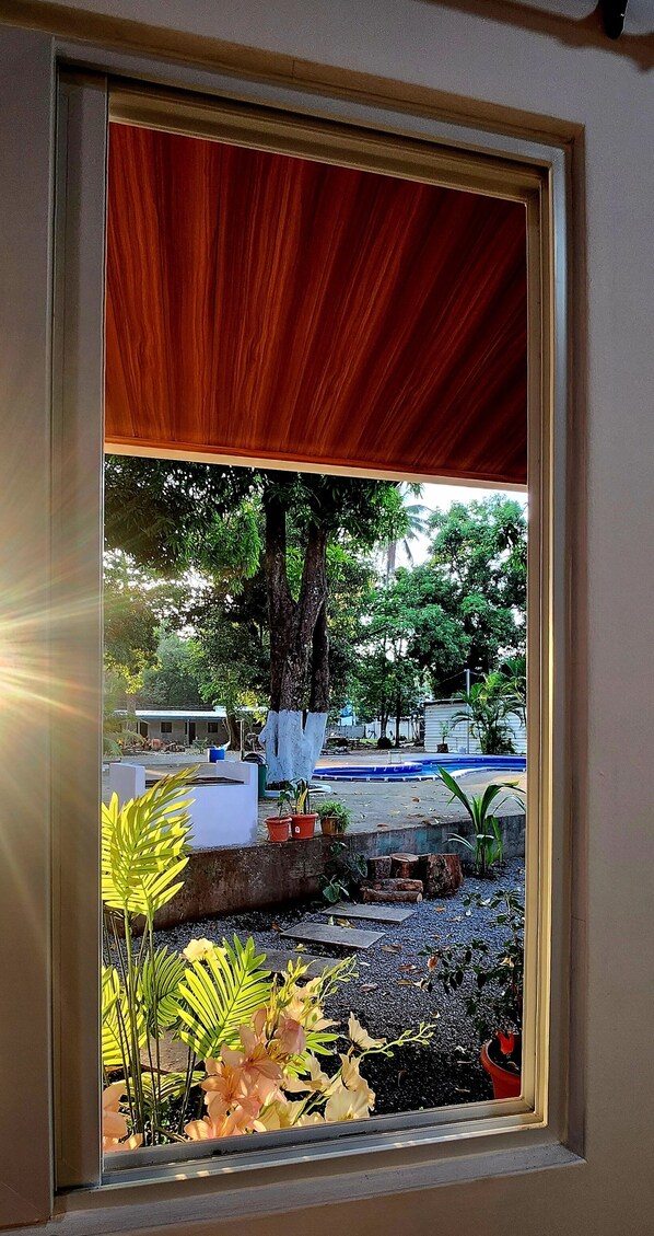 Garden view - Aloha Sunzal (Tamanique)