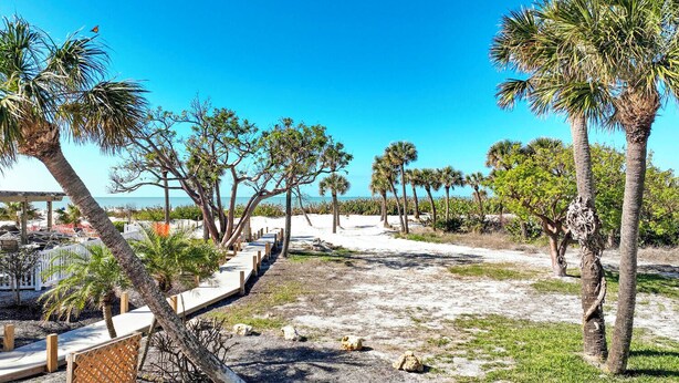 A pathway lined with palm trees and a beach view.