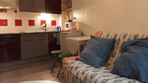 Un espace de vie compact comprenant un coin cuisine, un coin repas et un canapé agrémenté de coussins à motifs.