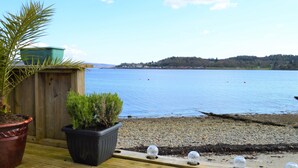A wooden deck with potted plants and a view of a calm lake.