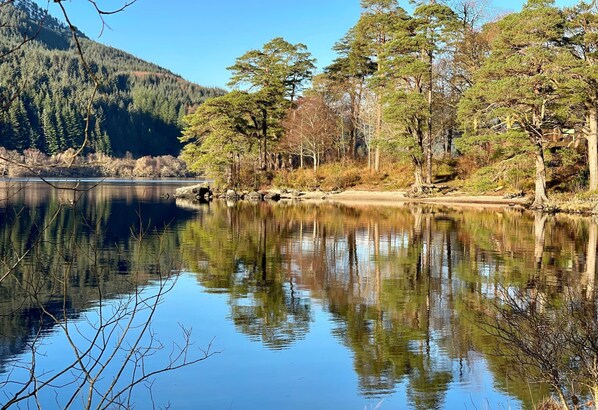 A calm lake surrounded by trees and a mountain in the background. - Dunbheag Cottage - waterfront, seaviews, sleeps 4 guests (Strone)