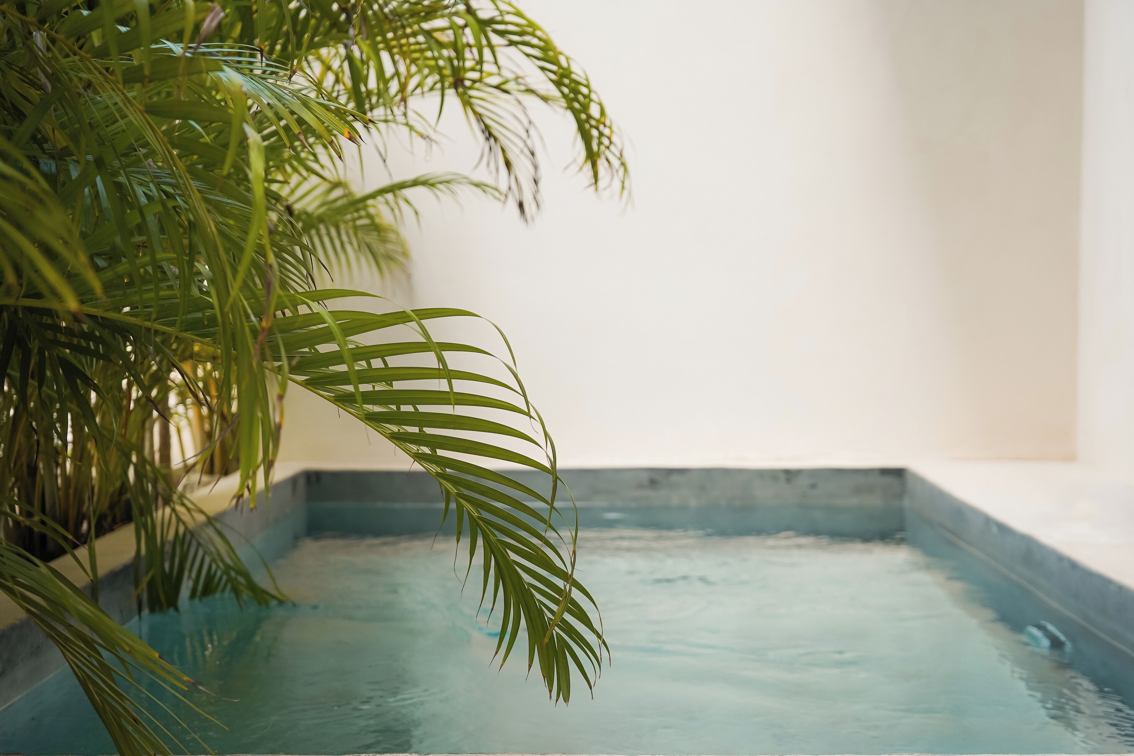 A small, rectangular pool with clear water, surrounded by a concrete edge and a white wall.