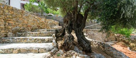 Rumah | 3 kamar tidur