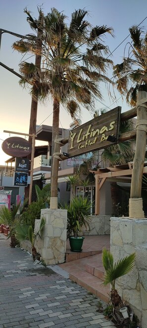 1 bedroom - Litinas Beachfront Apartment (Chania)