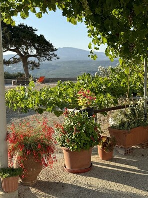 House, Smoking | 1 bedroom