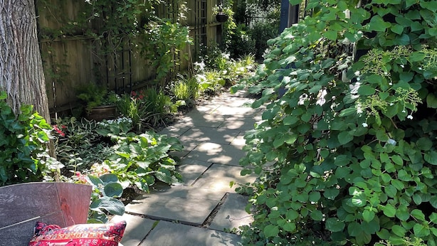 A garden pathway with a bench and a wooden fence.