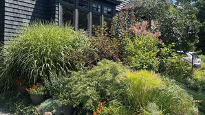 A house with a dark exterior, multiple windows, and a garden with various plants and flowers.