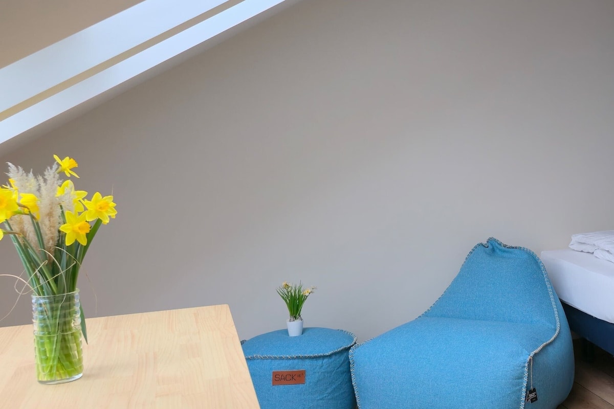 1-Raum Dachstudio | Ameublement personnalisé, chambres insonorisées, Wi-Fi gratuit