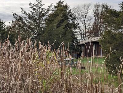 Two bedroom family cabin by private fishing lake.