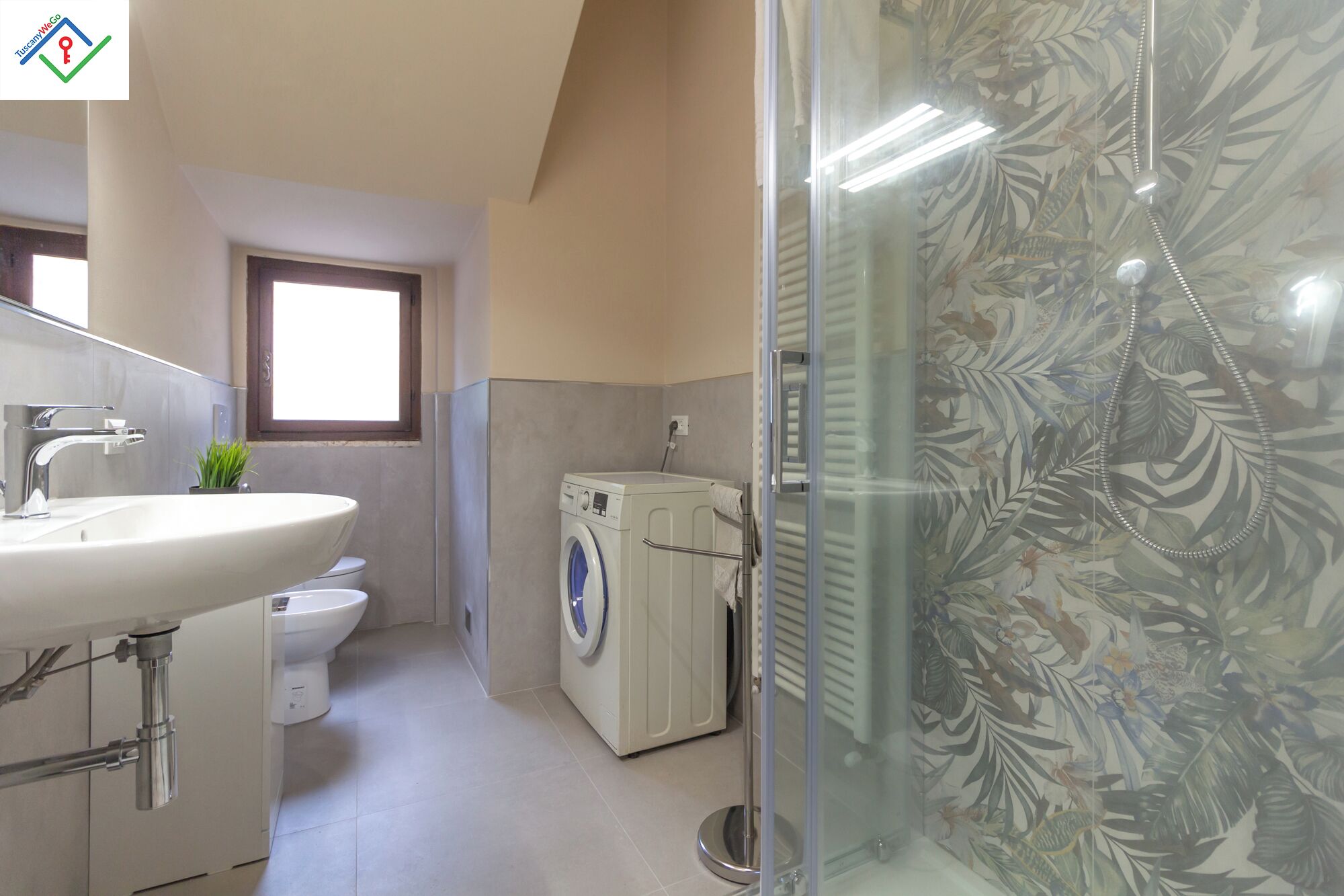 Shower, hair dryer, bidet, towels