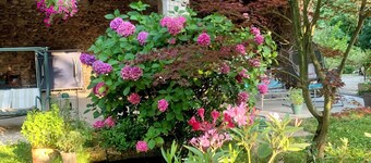 Vercors en vert, charming bed and breakfast. Manon room