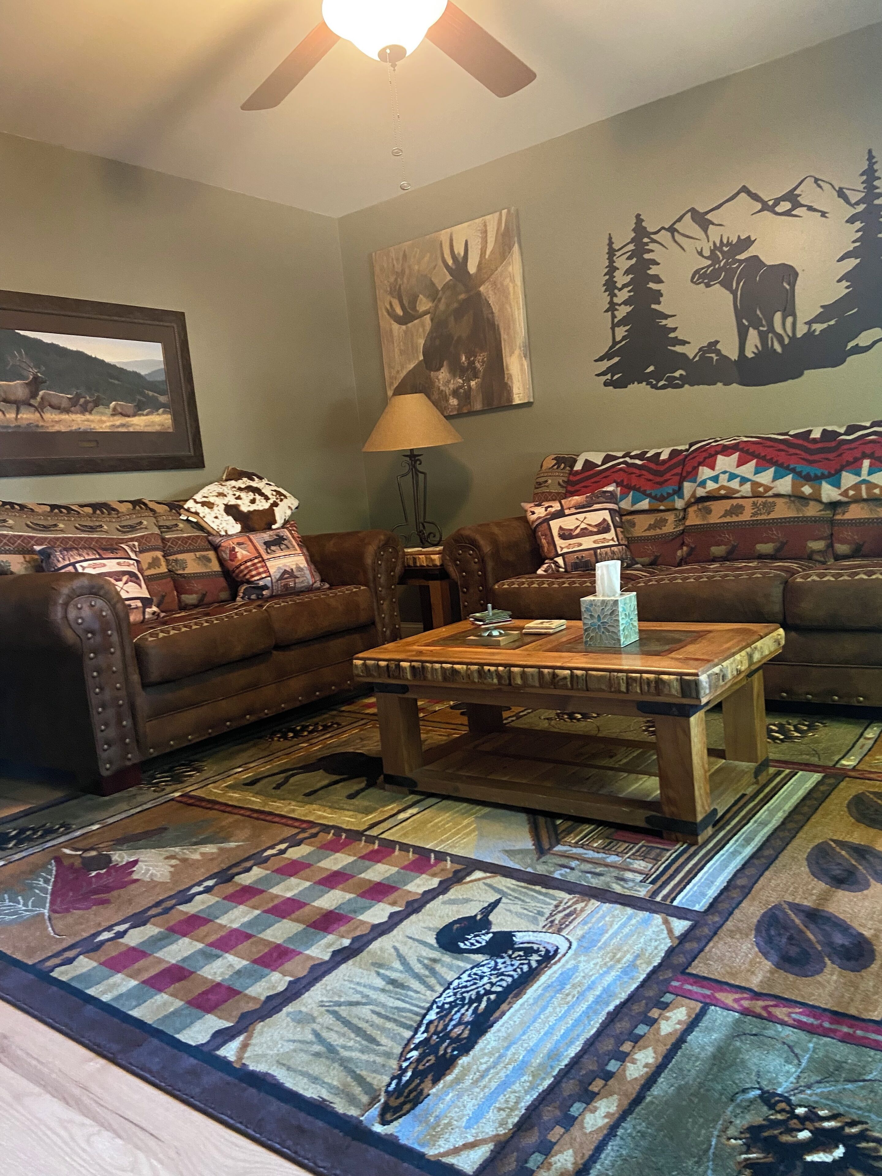 TV connectée, cheminée, livres