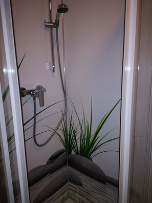 Douche, séchoir à cheveux, papier de toilette