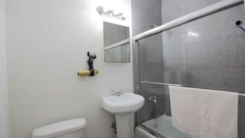 Hair dryer, towels, soap, toilet paper