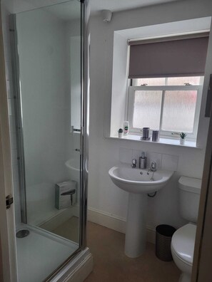 Bathroom features a pedestal sink, glass shower enclosure, and toilet.