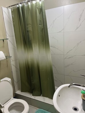 Towels, soap, toilet paper - Charming 1-bedroom apartment in Kingston with WiFi and AC (Kingston)