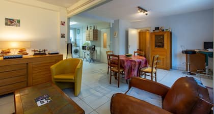 L'Harmonie de Bourges - Charmant appt plein centre