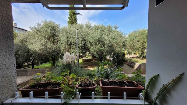 A balcony with potted plants, overlooking an olive grove and a grassy area. - Holiday flat with balcony (Njivice)