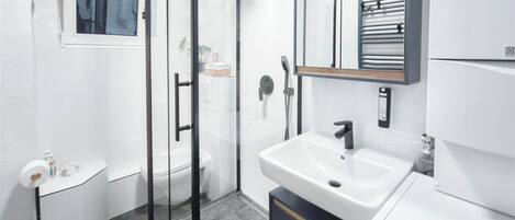 Shower, towels, soap, toilet paper