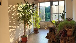 Una habitación amplia con suelo de madera, ventanas grandes y varias macetas con plantas.