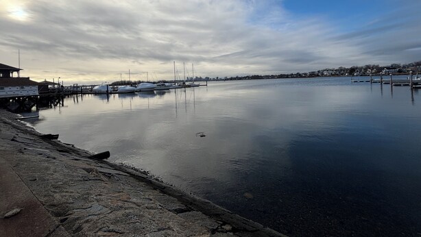 A marina with boats docked, a pier extending into calm water, and a city skyline in the distance.