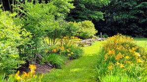 Un sentier de jardin bordé d’une végétation luxuriante et de fleurs aux couleurs vives.