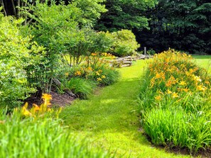 Property grounds - Magical Stays in Scaly Mountain Cabin (Scaly Mountain)