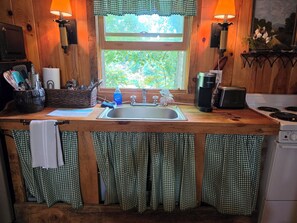 Microwave, oven, stovetop - Magical Stays in Scaly Mountain Cabin (Scaly Mountain)