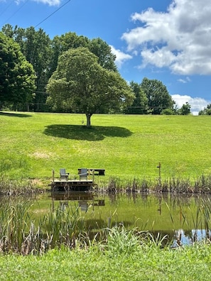 A tranquil outdoor setting with a wooden dock, a tree, and a clear sky.