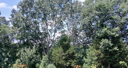 Charming 2-bedroom farmhouse in the country --Bradford with AC, WiFi
