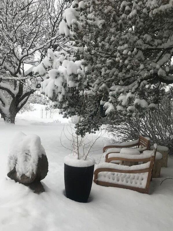 En snötäckt bänk och ett träd i en park.