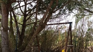 A swing set in a wooded area with a dirt ground.