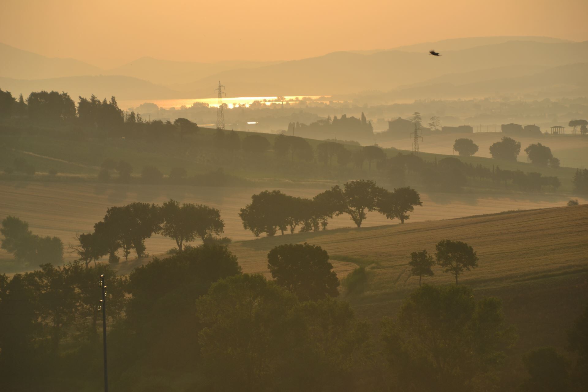 Paisaje rural con campos, árboles y una torre de línea eléctrica a lo lejos.