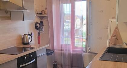 Gîte Line 100M2 à Eguisheim ***