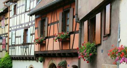 Gîte Line 100M2 à Eguisheim ***