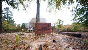 A sign for the Camellia Geodesic Dome with a natural forest backdrop. - Lake Front Geodesic Dome: Hot Tub, TV, & Lake Views (Cedar Bluff)