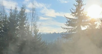 Hill House SD,a charming mountain retreat located in the scenic town of Toplita!