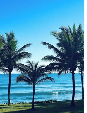 On the beach, sun loungers, beach towels - B-2 Oceanfront Paradise at The Victorian (Cabarete)