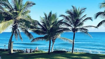 On the beach, sun loungers, beach towels