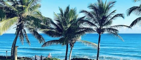On the beach, sun loungers, beach towels