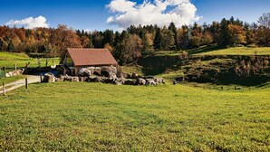 A rustic stone building with a red roof, surrounded by a grassy field and a forested hillside. - Visnja Gora Meadow Hideaway with Terrace - One Bedroom Cottage with Terrace (Visnja Gora)