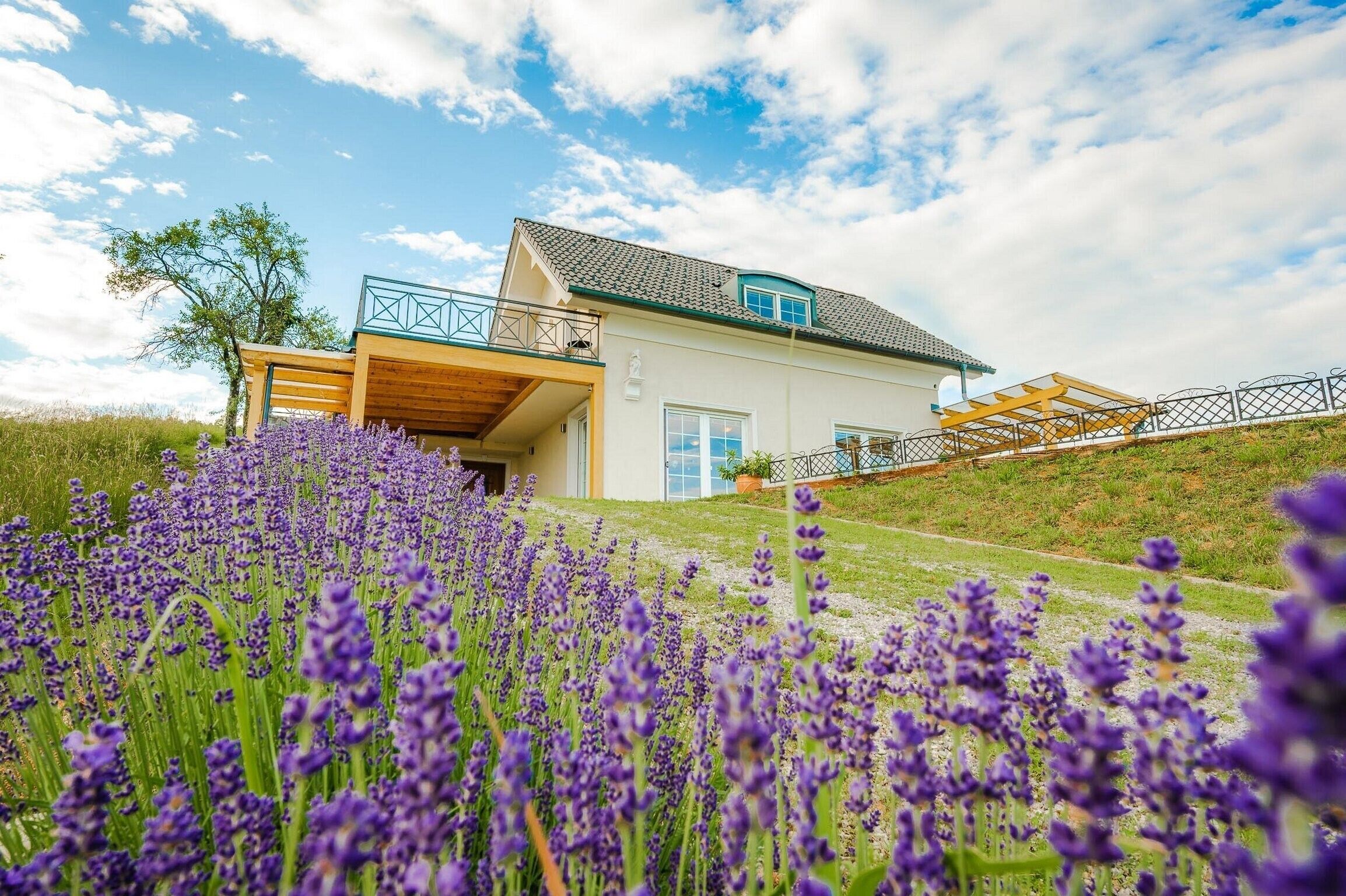Une maison à deux étages dotée d’un balcon, entourée d’un champ de fleurs violettes.