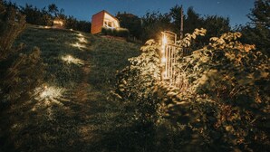 A modern house with a sloped roof, surrounded by dense vegetation and a clear night sky.
