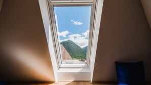 A room with a skylight, wooden flooring, and two blue pillows.