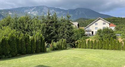 Meadow Tranquil Apartments with Evergreen Garden - Studio Apartment
