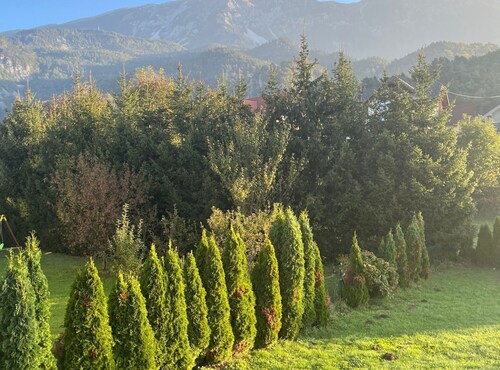 Meadow Tranquil Apartments with Evergreen Garden - Two Bedroom Apartment