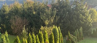 Meadow Tranquil Apartments with Evergreen Garden - Two Bedroom Apartment